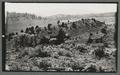 Hillside, Eastern Oregon, circa 1920