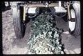 Mechanical strawberry picker straddling row, Oregon, June 25, 1968