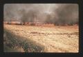 Field burning, September 1971