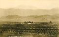 Sutherlin Valley Orchard Home