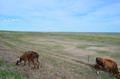 2013July_20130707DKInnerMongolia_020