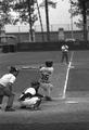 Williamson at bat