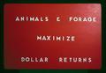 Animals & Forage Maximize Dollar Returns, circa 1971