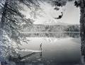 Man fishing in Trout Lake, Washington with Mt. Adams in background