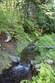 Glacier Irrigation Ditch, Middle Fork Irrigation District (Parkdale, Oregon)