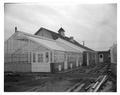 Greenhouse and barn scene from Boys State photo series, Summer 1958