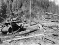 Westfir logging scene