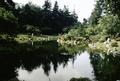 Nitobe Memorial Garden, University of British Columbia (Vancouver, British Columbia)