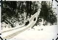 Unannotated image of a sledding outing, circa 1920
