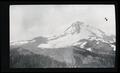 Mount Hood