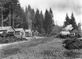 Office buildings, machine shop, road and trucks, Larch Mountain Road, W. P. A. camp