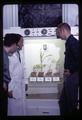Plant samples in soils with minor element deficiency, Oregon State University, Corvallis, Oregon, November 1968