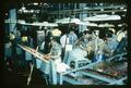 Processing strawberries at Blue Lake, Salem, Oregon, 1962