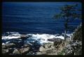 Pacific Ocean at the Oregon coast, circa 1970