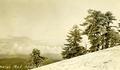 Mary's Peak above the clouds in winter