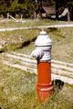 Fire Hydrant (Sumpter, Oregon)