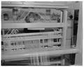 Home Economics student at a loom in the clothing and textiles research lab, February 1964