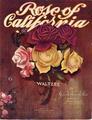 Rose of California