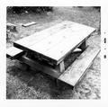 Typical picnic table