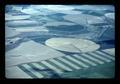Aerial view of strip farming with irrigation circles near Echo, Oregon, 1984