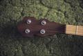 Fancy, right handed banjo, detail of peghead