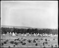 Indian camps, Umatilla Indian Reservation, July, 4, 1902