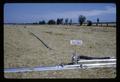 End skid irrigation system at Irrigation Fair, Jackson Farm, Corvallis, Oregon, 1966