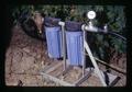 Water filter on drip irrigation in blackberries, North Willamette Experiment Station, Aurora, Oregon, circa 1973