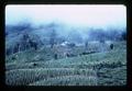 Hill tribe village, northern Thailand, 1960