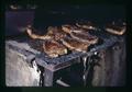 Closeup of steaks grilling at Jefferson County Fair, Madras, Oregon, August 1972