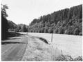 Jensen Tract. View of road to left with forest off to right. See 02-207
