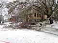 Snowstorm March, 2012 - 20 of 37