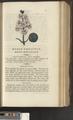A New Family Herbal or Familiar Account of the Medical Properties of British and Foreign plants also their uses in Dying and the Various Arts arranged according to the Linnaean System [p403]