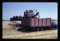 Wheat harvesting in Willamette Valley, Oregon, 1966