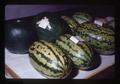 Watermelons at Umatilla County Fair, Pendleton, Oregon, August 1971