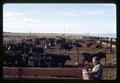 Beef cattle feeding trials, Umatilla Branch Experiment Station, Oregon State University, Umatilla, Oregon, May 23, 1955