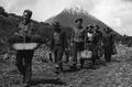 CCC enrollees carrying transplants to the fields, Shasta National Forest