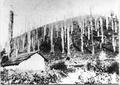 Burnt hillside with small building