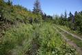 Glacier Irrigation Ditch, Middle Fork Irrigation District (Parkdale, Oregon)