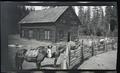 Pack horses at Wentworth Ranch