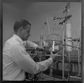 Faculty with white rat used in rocket fuel experiment at the Science Research Institute, 1964