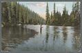 "Trout fishing on 'Swiftwater,' St. Joe River, Idaho", 1916