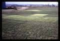 General view of turf plots, Southern Oregon Experiment Station, Medford, Oregon, February 1970