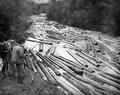 Log Drive by Coos Bay LC on East Fork Coquille River, Oregon