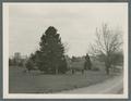 Inspection Day cadets moving into formation, circa 1927