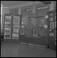 Alsea Basin soil vegetation survey display, circa 1955