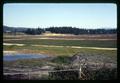 Cranberry bog, Curry County, Oregon, May 1970