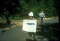 Fish clinic, Siuslaw