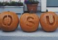 OSU carved pumpkins