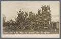 Freshmen gathering wood for bonfire, circa 1910